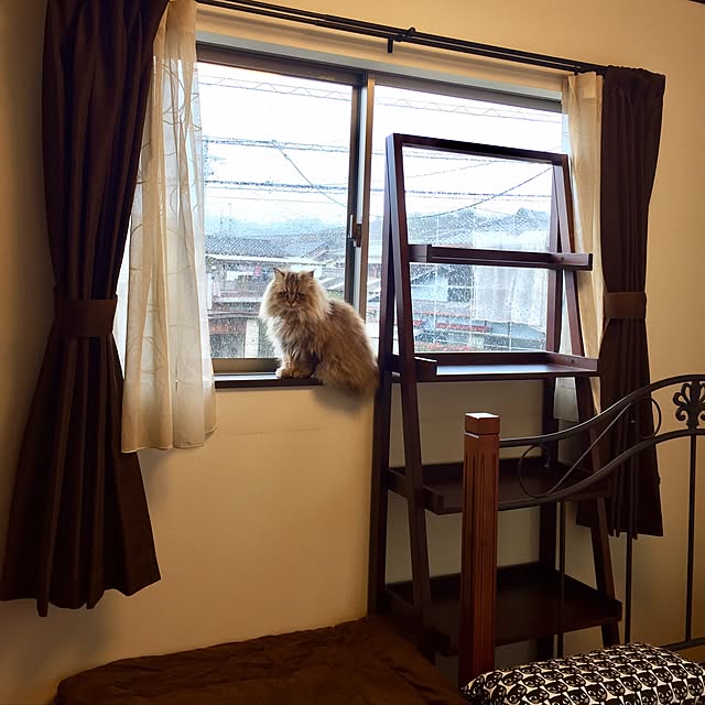 butachanさんの実例写真
