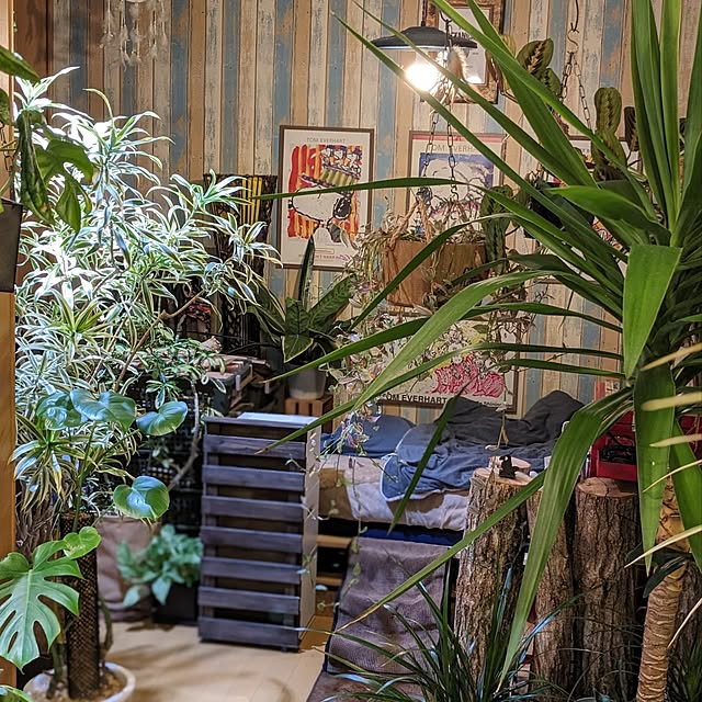 GINさんの部屋