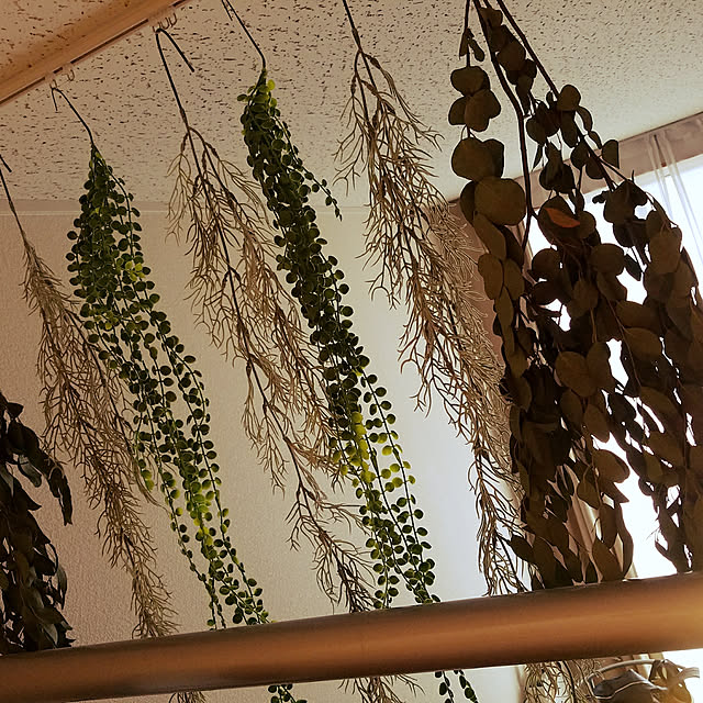 Umeさんの実例写真