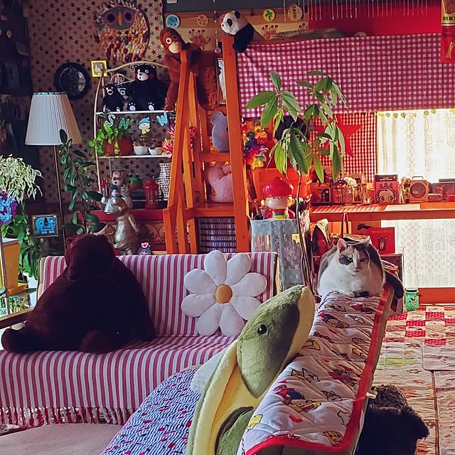 kumutanさんの部屋