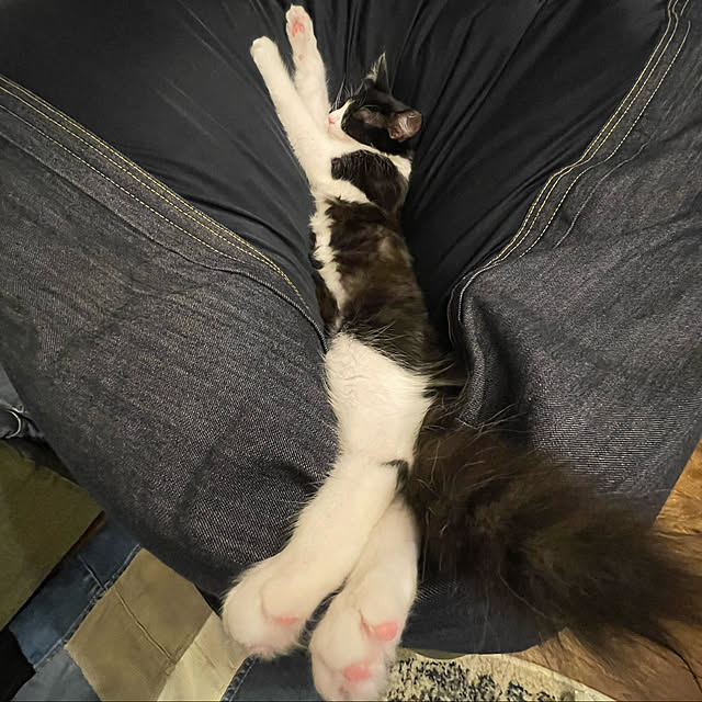 KUROさんの実例写真