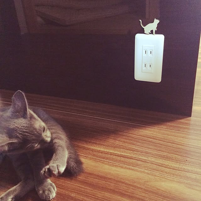 akisuisuiさんの実例写真