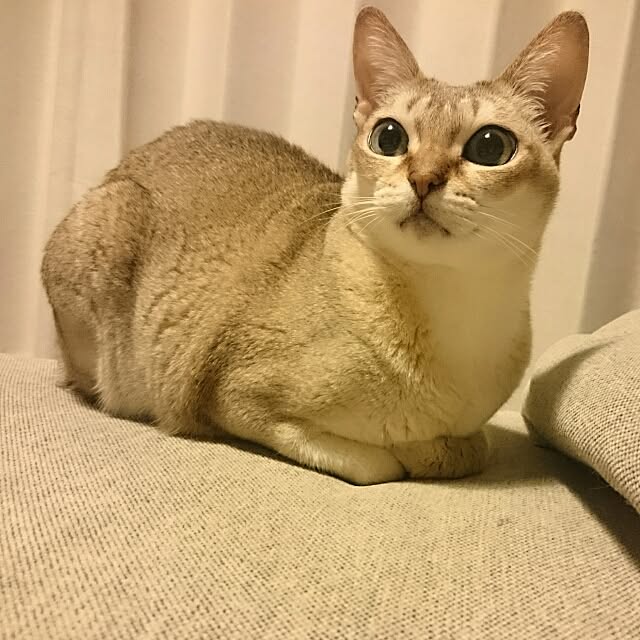 Jcさんの実例写真