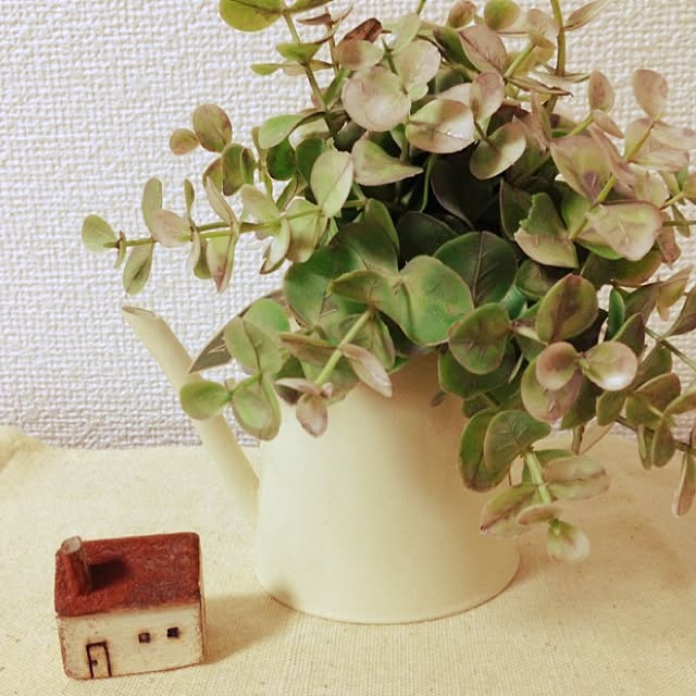 akiさんの実例写真