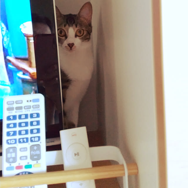 hanacocoさんの実例写真