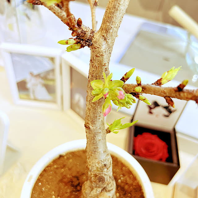 chanduさんの部屋