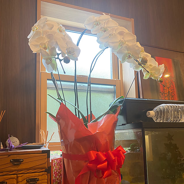 kotaroさんの部屋