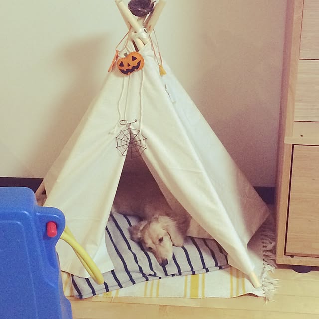rakudakunさんの実例写真
