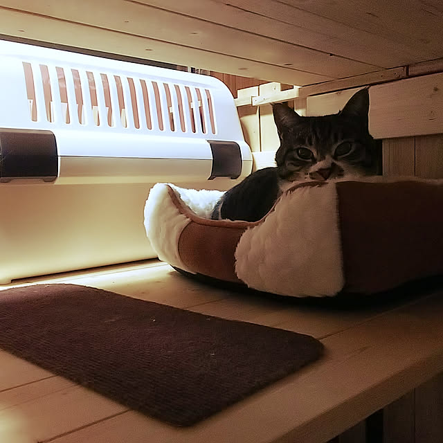 Mikiさんの実例写真