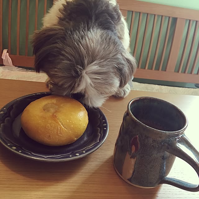 ANNAさんの実例写真