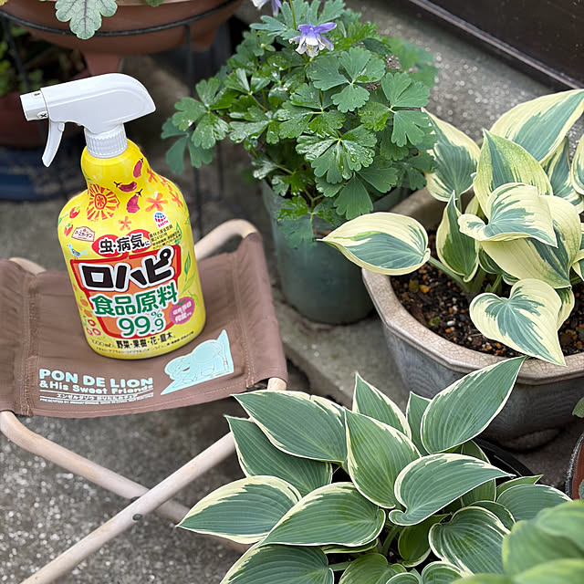 buchiさんの実例写真