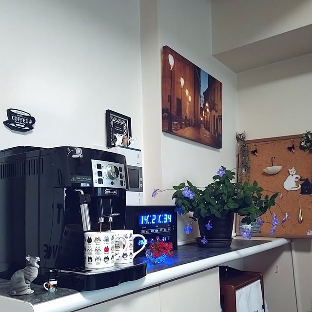 NOAHさんの部屋