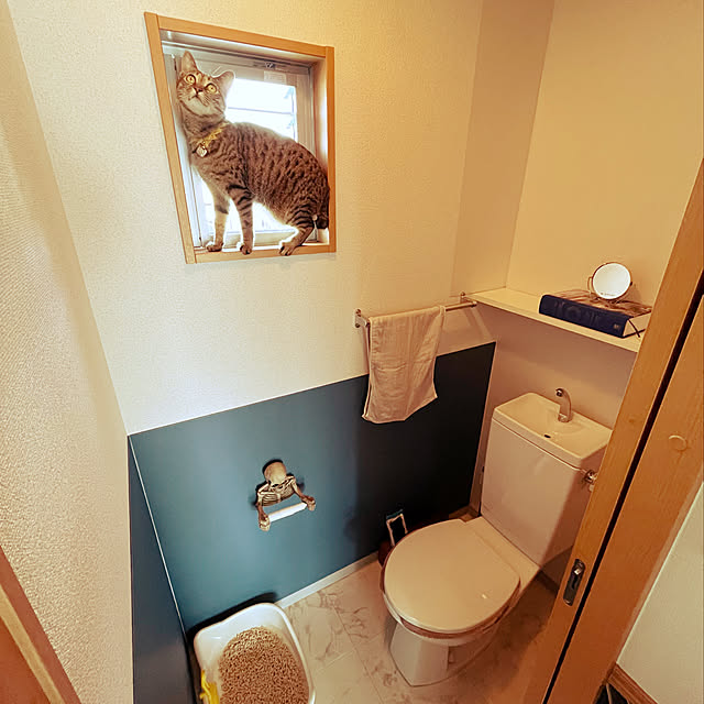Mさんの実例写真