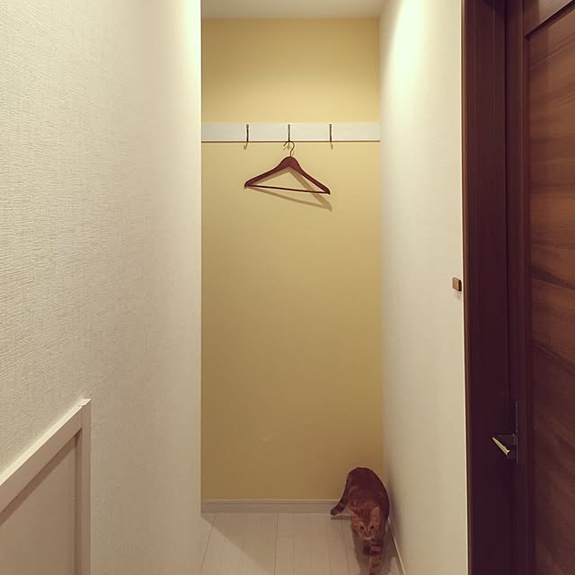 sh1bonさんの実例写真