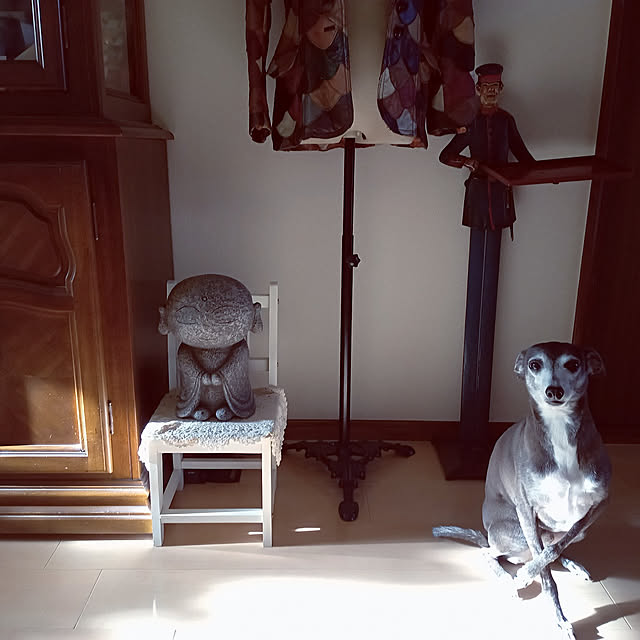 moruさんの実例写真