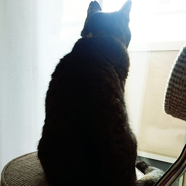 lilyさんの実例写真
