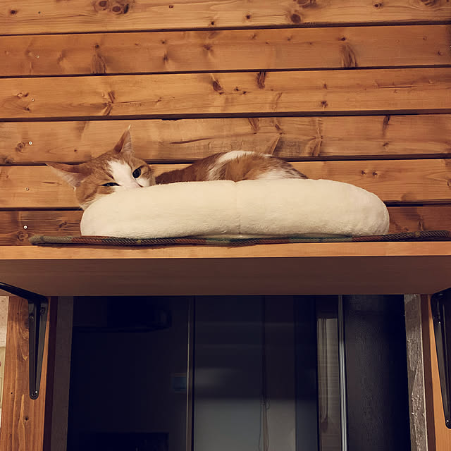 sanaさんの実例写真