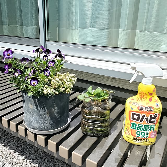 tokkiさんの部屋