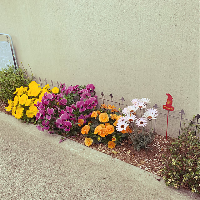 実例写真