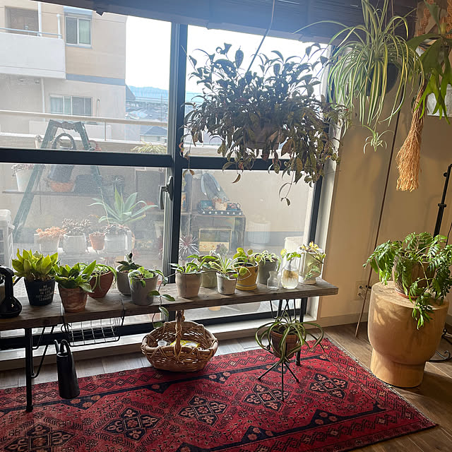 tintaさんの実例写真