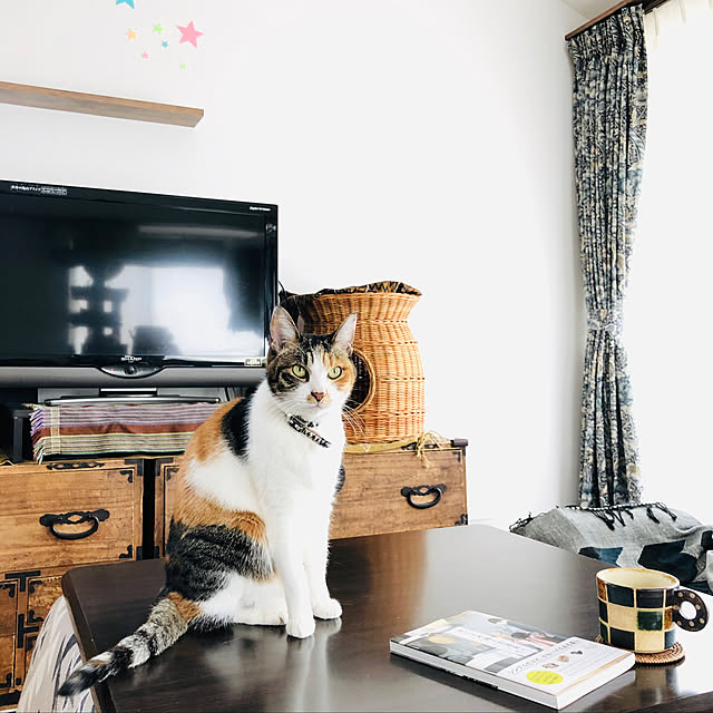 Maruさんの実例写真