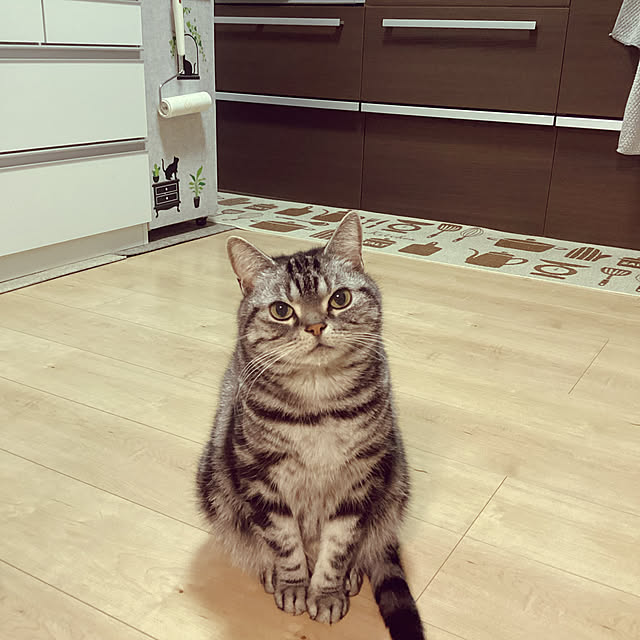 richanさんの実例写真