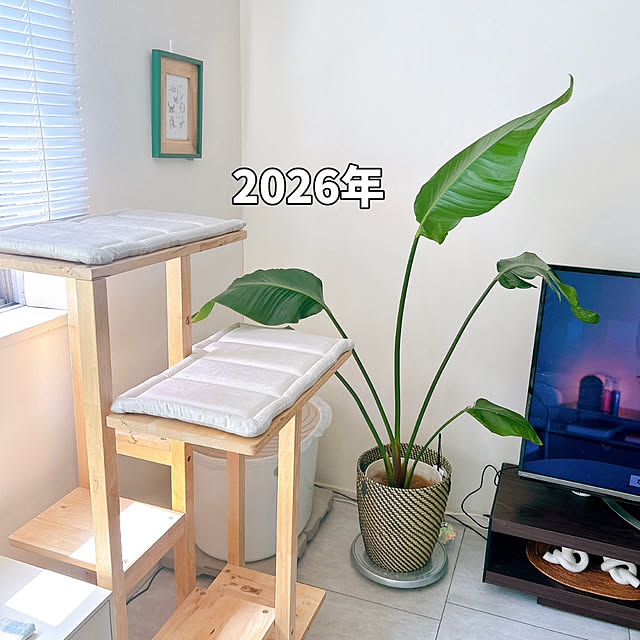 mako2yaさんの部屋