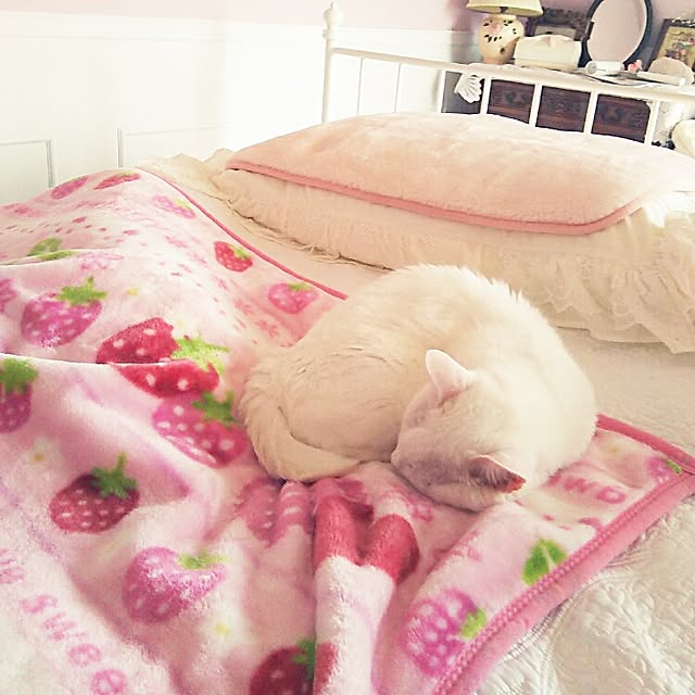 sakuraさんの実例写真