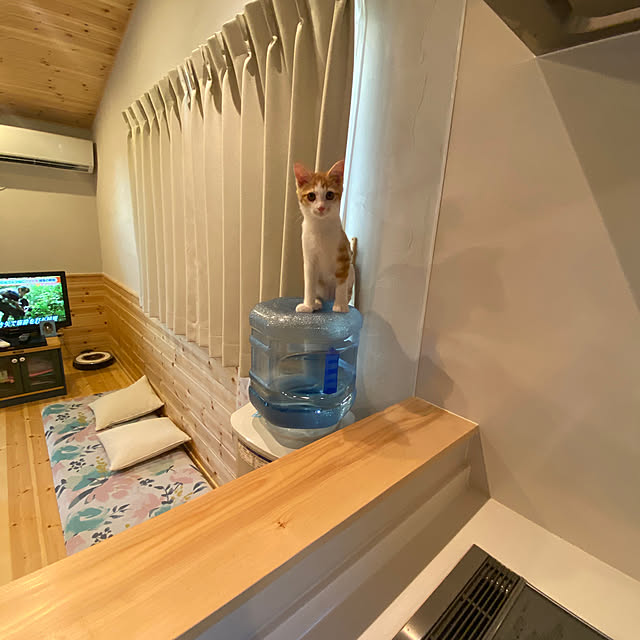 senbei.sakuramochiさんの実例写真