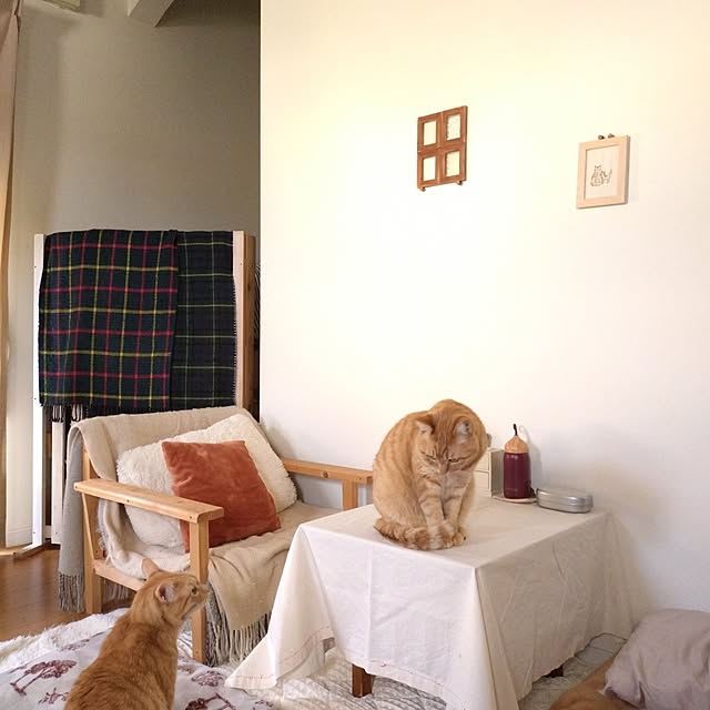 mayutan.さんの実例写真