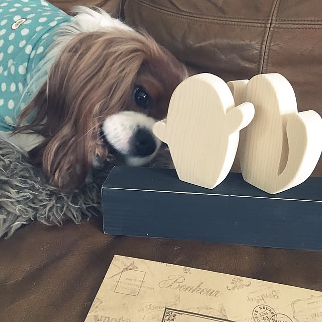miyaさんの実例写真