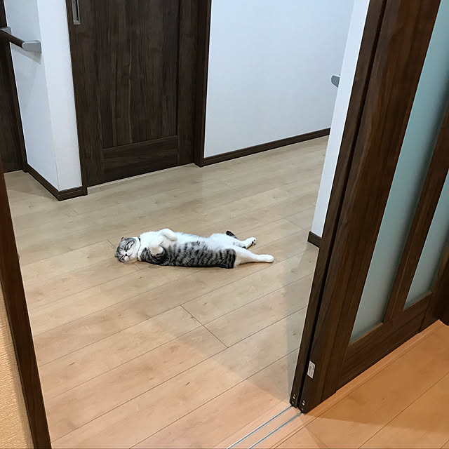 Dahliaさんの実例写真