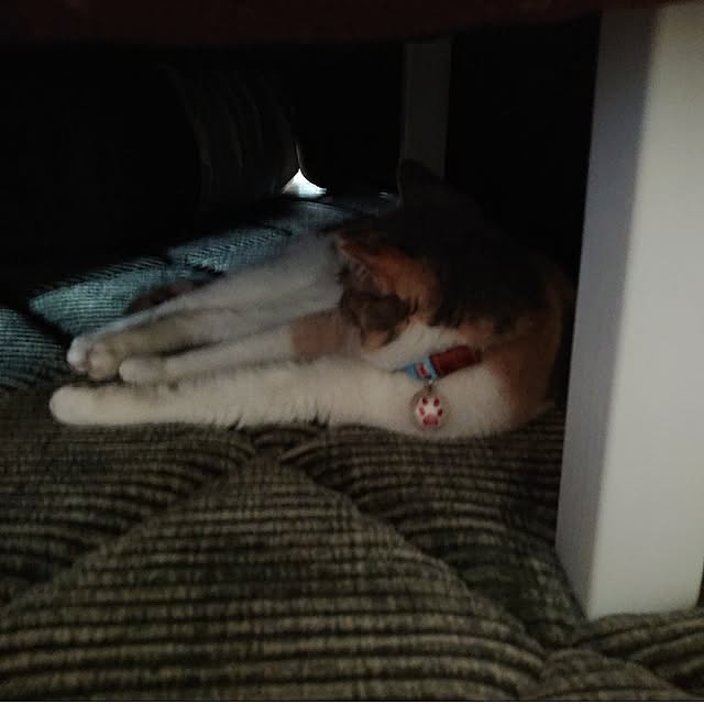 fukuさんの部屋