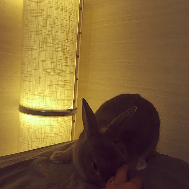 bashiko_ckさんの実例写真