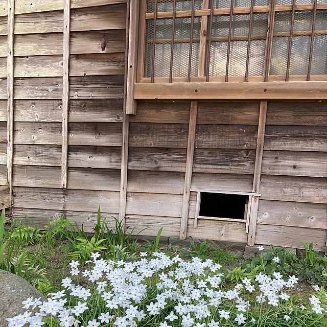 yymsさんの実例写真