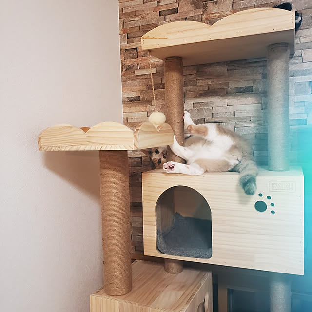 kakkyさんの実例写真