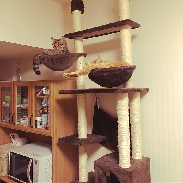 nonさんの実例写真