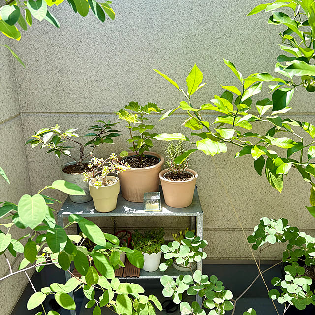 yu-rinさんの実例写真