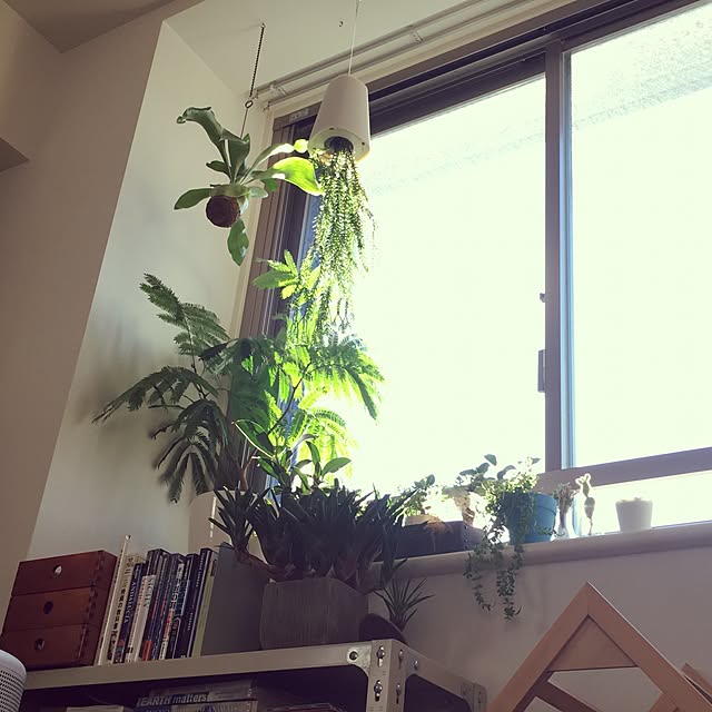 covananaさんの実例写真