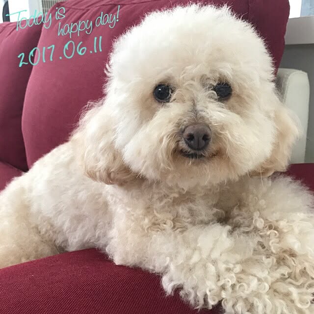 Rinさんの実例写真