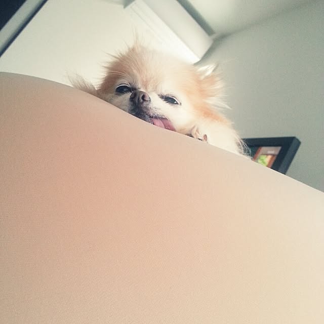 Rinnさんの実例写真