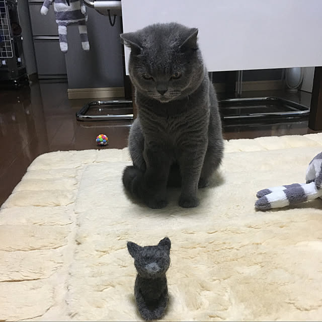 kittyさんの実例写真