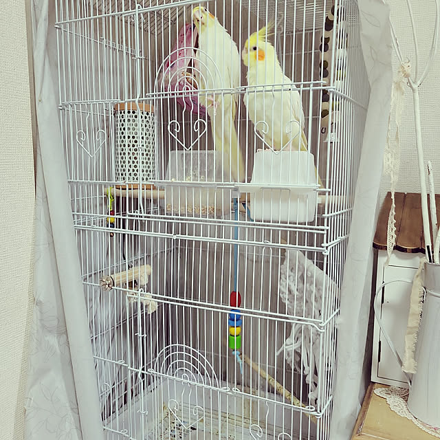 ANTENNAさんの実例写真