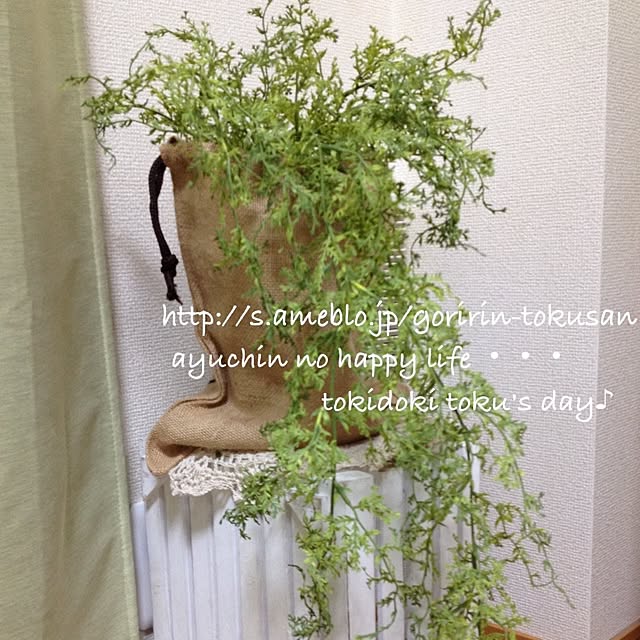 ayuchinさんの実例写真