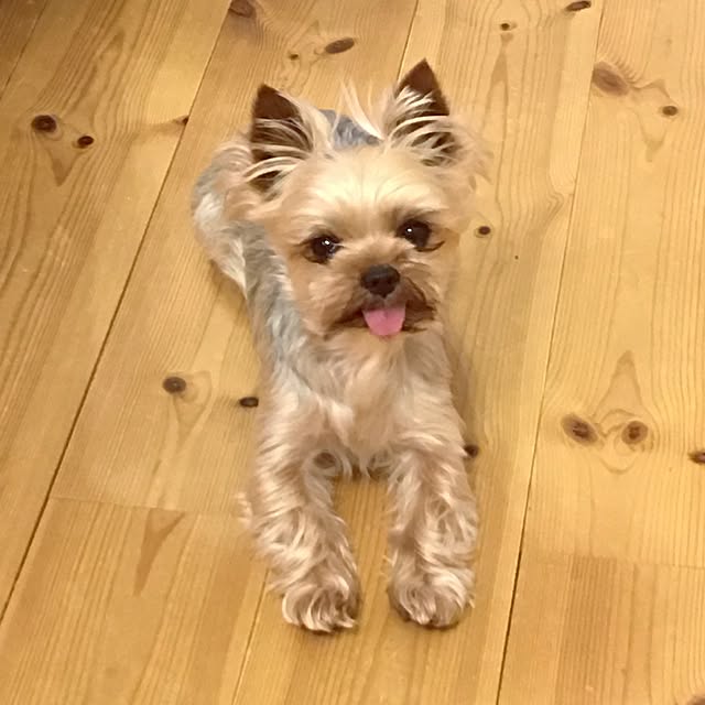 misacoさんの実例写真