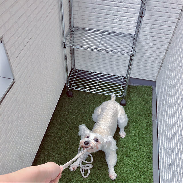 suzyさんの実例写真