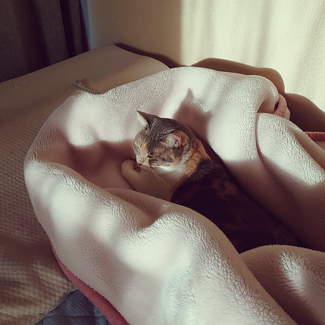 fukuさんの実例写真