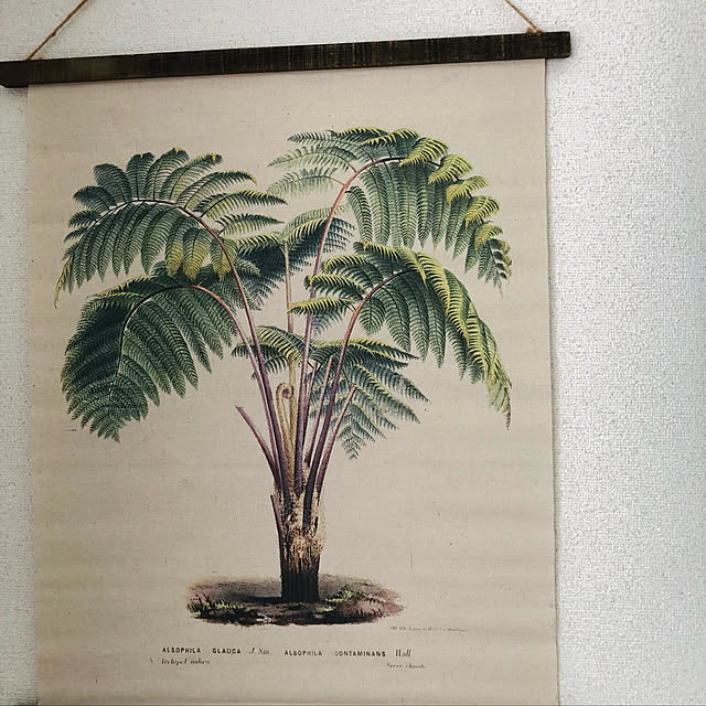 yu-kiさんの実例写真