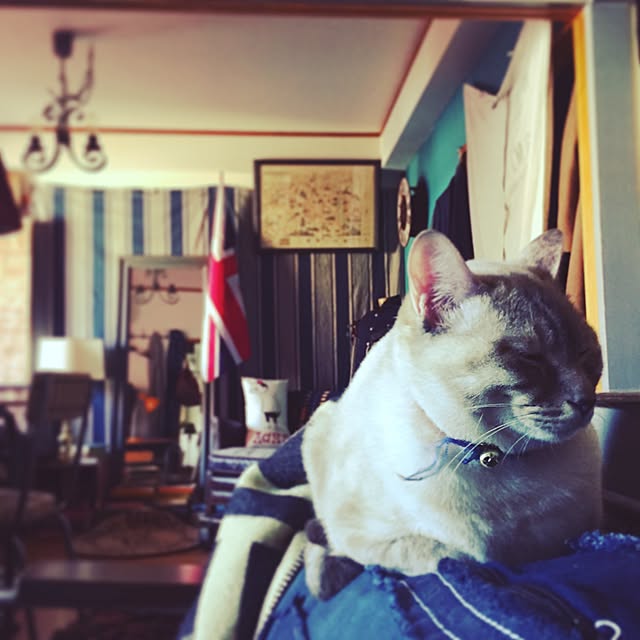 Naoki.さんの実例写真