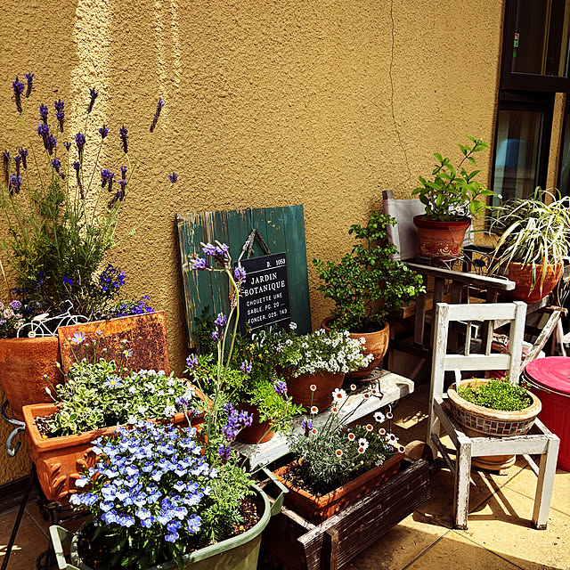 naokoさんの実例写真